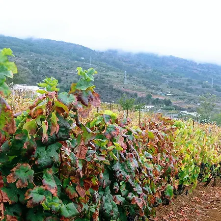 Dom wakacyjny Live La Victoria Carril - Casa Acogedora Y Familiar Con Terraza Completa *