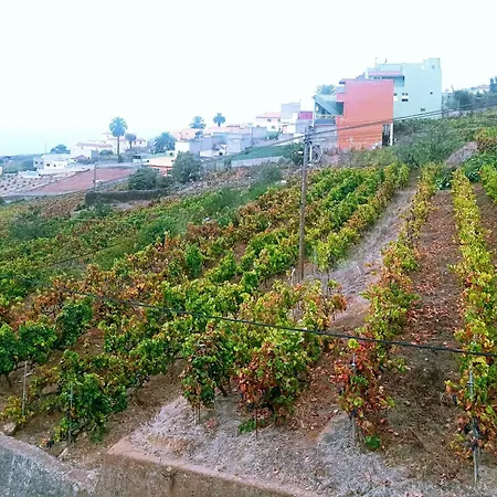 Vakantiehuis Live La Victoria Carril La Victoria de Acentejo