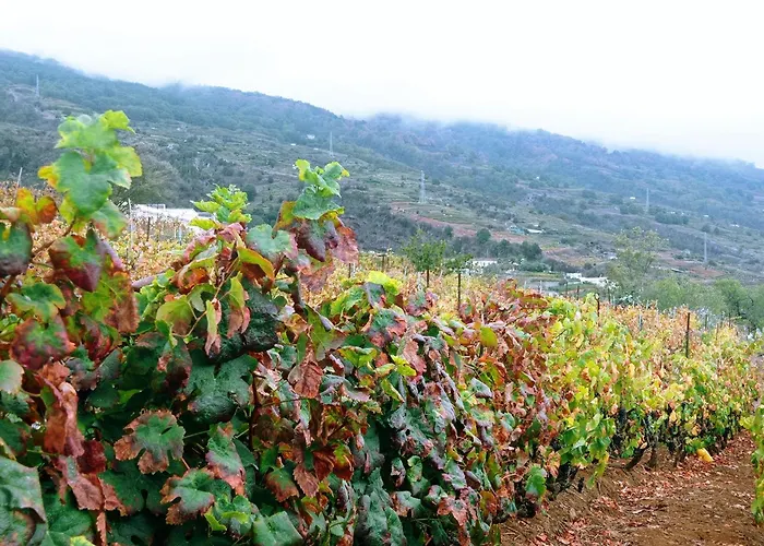 Hébergement de vacances Live La Victoria Carril - Casa Acogedora Y Familiar Con Terraza Completa *