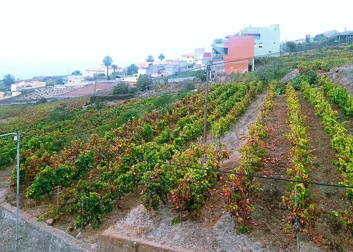 Prázdninový dům Live La Victoria Carril - Casa Acogedora Y Familiar Con Terraza Completa La Victoria de Acentejo